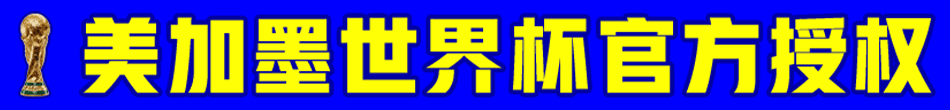 置顶